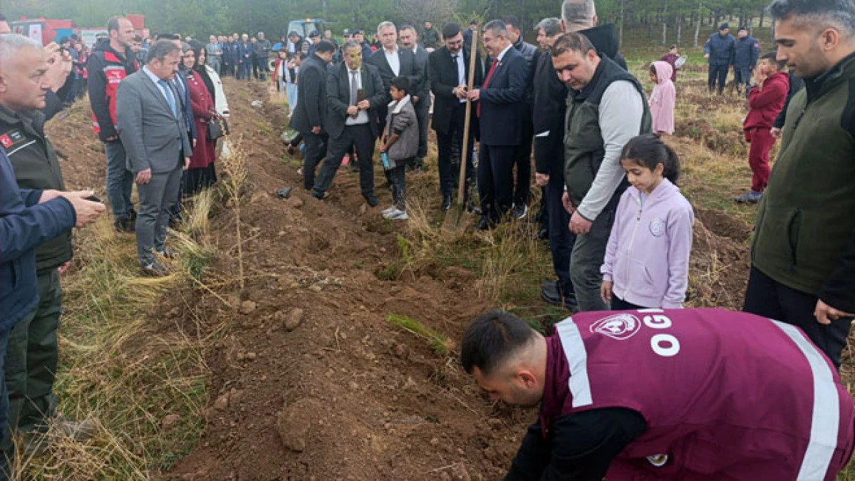 Atatürk İlkokulunda 11 Kasım Milli Ağaçlandırma Günü etkinliği