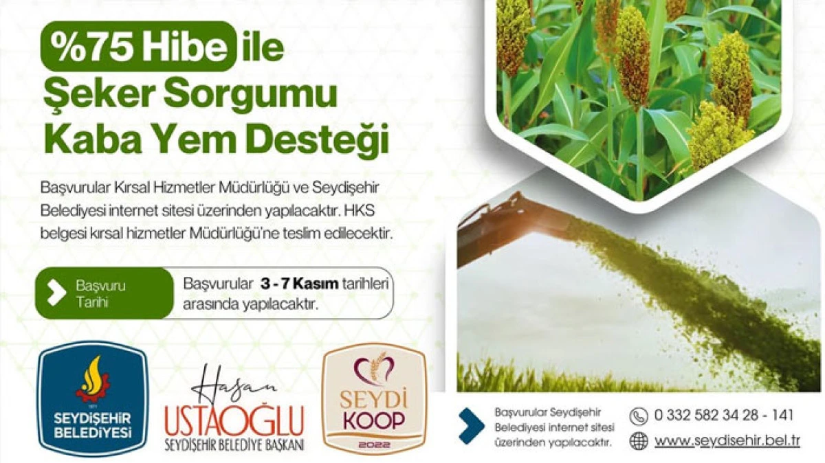 Belediyeden hibe ile şeker sorgumu kaba yem desteği