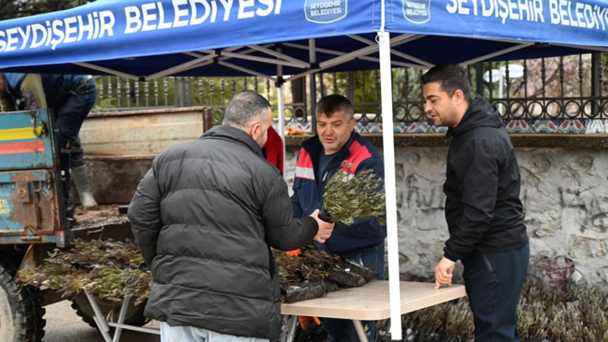 Belediyeden mezar ziyaretine gelenlere lavanta fidesi