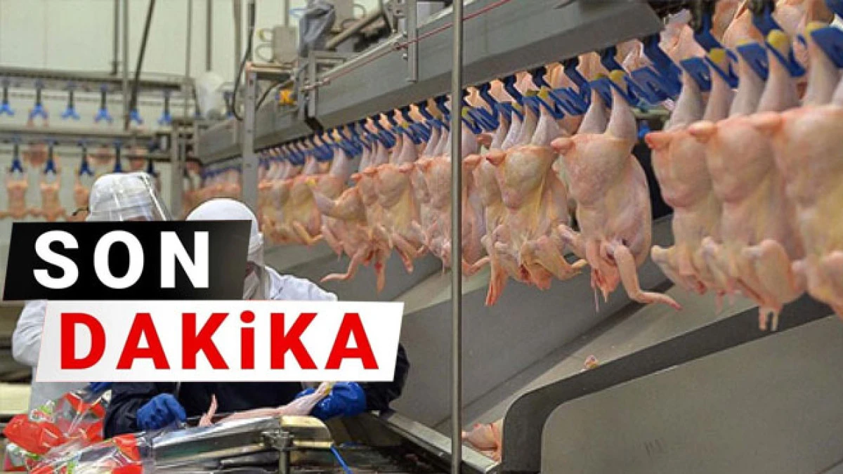 Beyaz et sekt&ouml;r&uuml;ne dev operasyon! 13 şirkete denetim kayyumu atandı