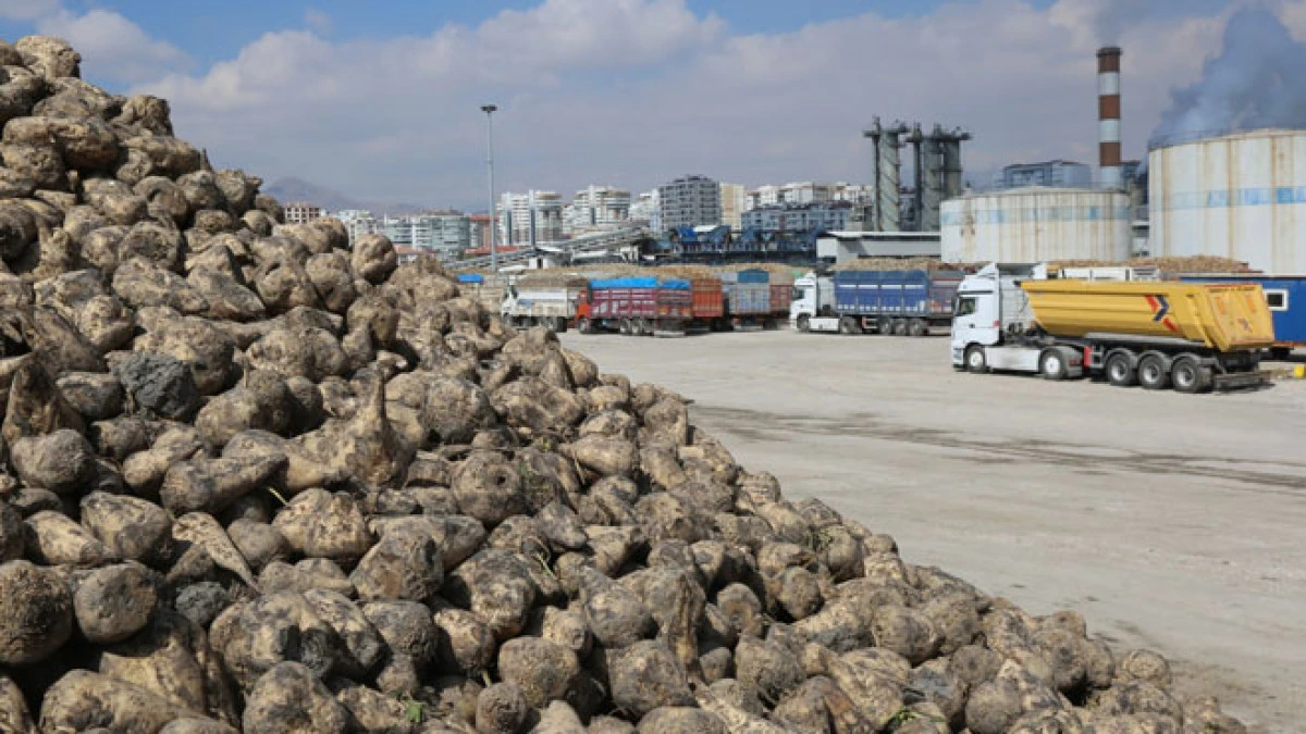Konya Şeker&rsquo;den &uuml;reticiye dev &ouml;deme