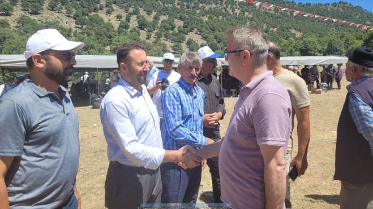Mesudiye Yayla Şenliği yapıldı