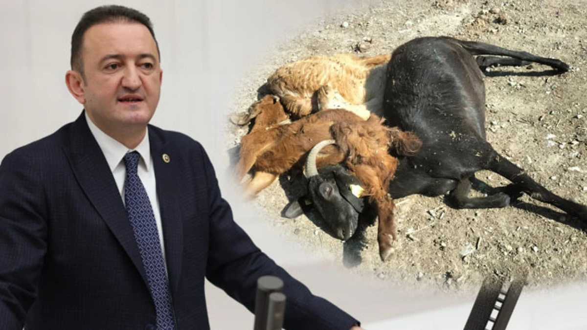 Şap hastalığı nedeniyle üreticilerimizi kaderine terk etmeyelim