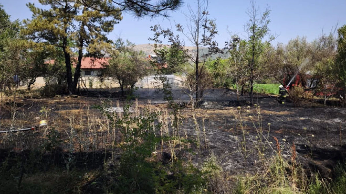 Taraşcı’da ot yangını korkuttu: Erken müdahale felaketi önledi